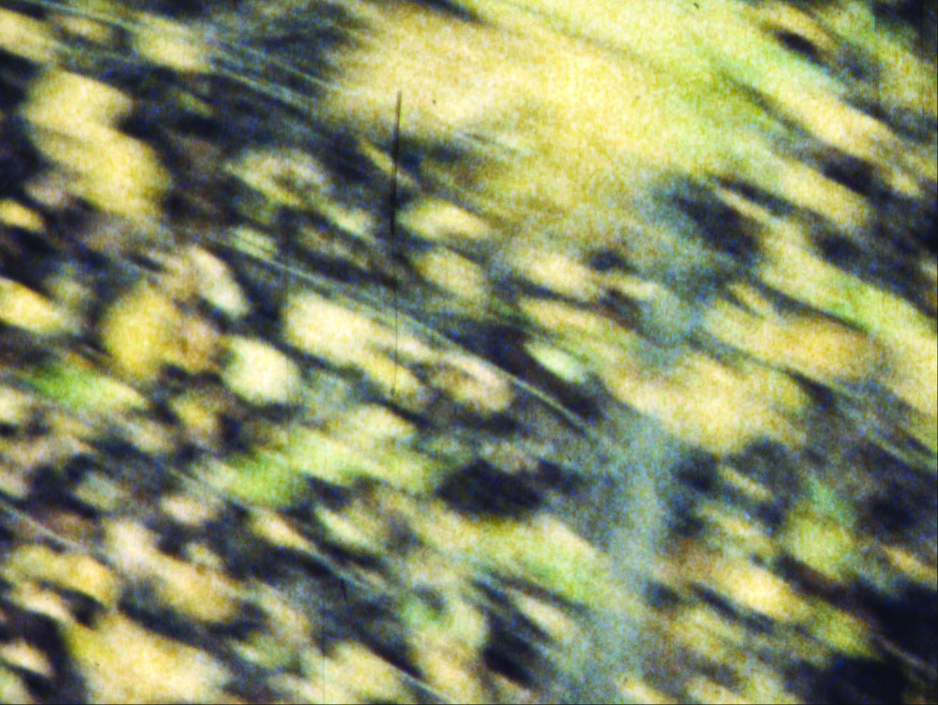 Barry Brown & Irene Proebsting, Field (still), 1997, Super 8 film converted to digital video, colour, sound, 6.00 mins, Latrobe Regional Gallery Collection, purchased 2016.