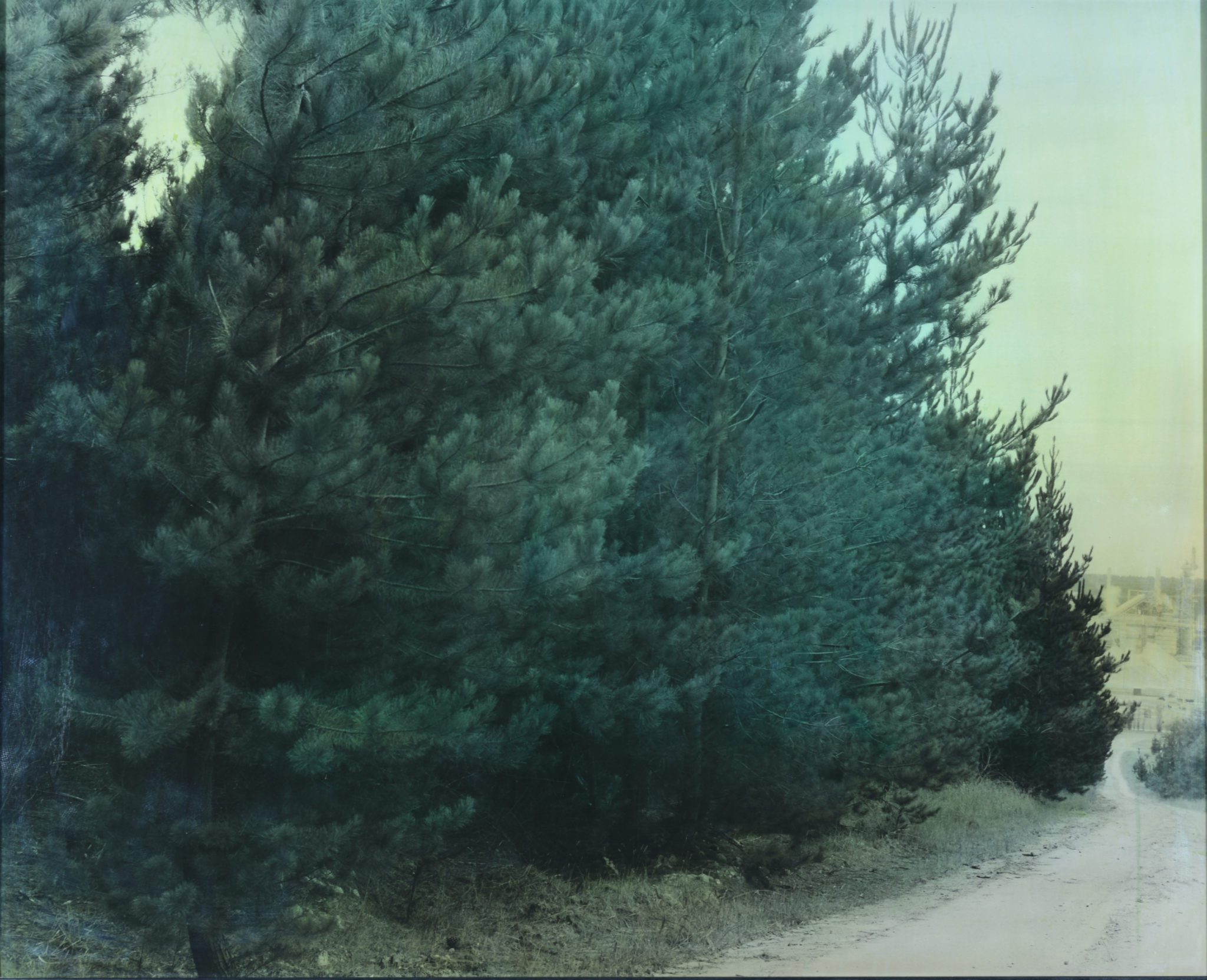 Janina Green, Untitled (from the Plantation series), 1996, Hand coloured Silver Gelatin print, 84 x 104 cm, Latrobe Regional Gallery Collection, gift of the artist, 1997. 
