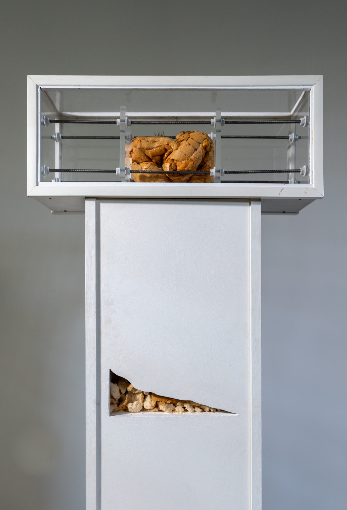 Dan Wollmering, (Breadworks No. 2) In Adoration II, 1980, MDF plinth, Perspex box, and mixed media, 144 x 54 x 64 cm, Latrobe Regional Gallery Collection, gift of the artist, 1989.