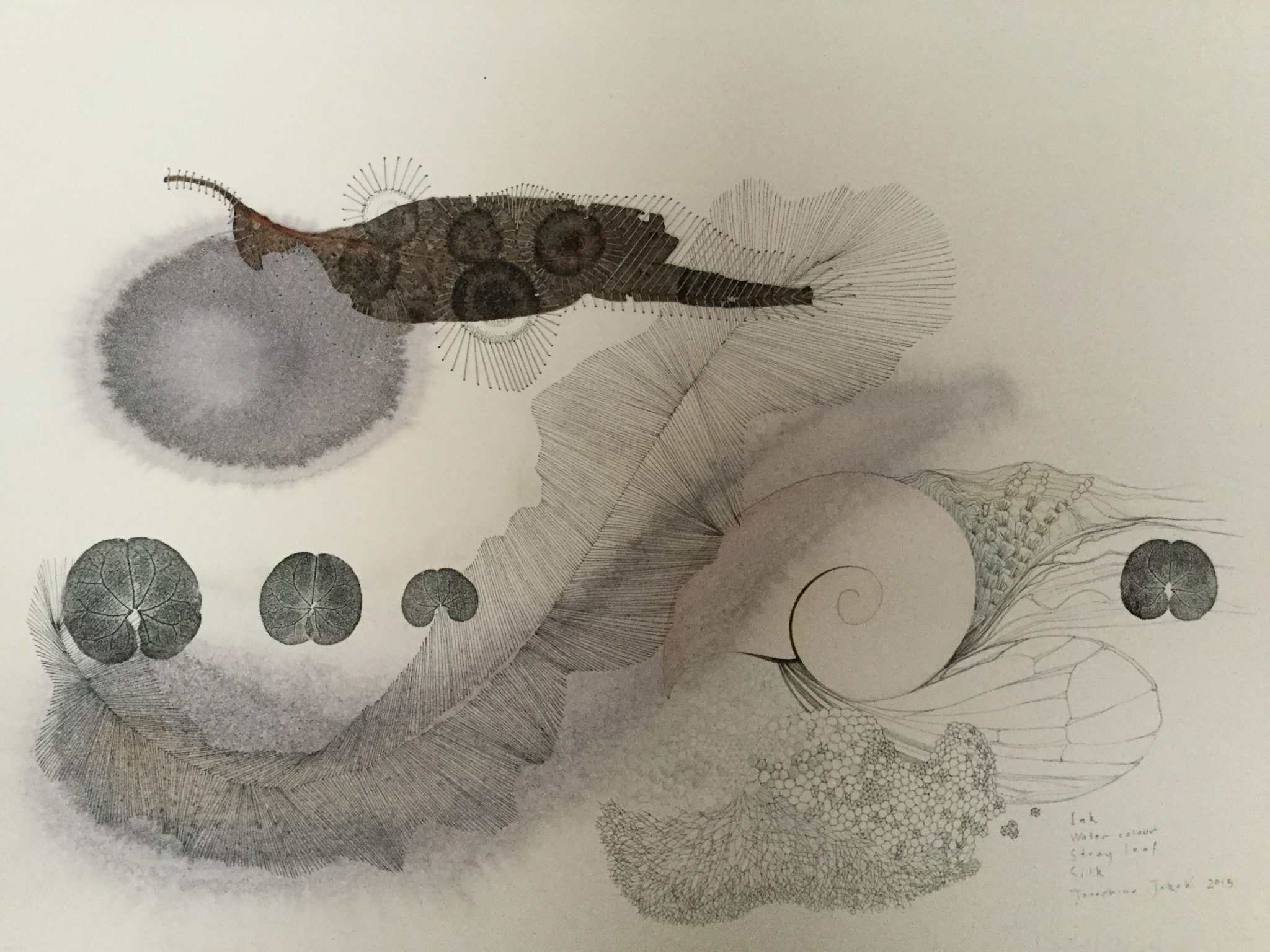 Josephine Jakobi, Fringe Dwellers, 2015, Ink, watercolour, leaf, silk, 32 x 46 cm image, 52 x 65 cm inc. frame, Collection of Phil Evans.