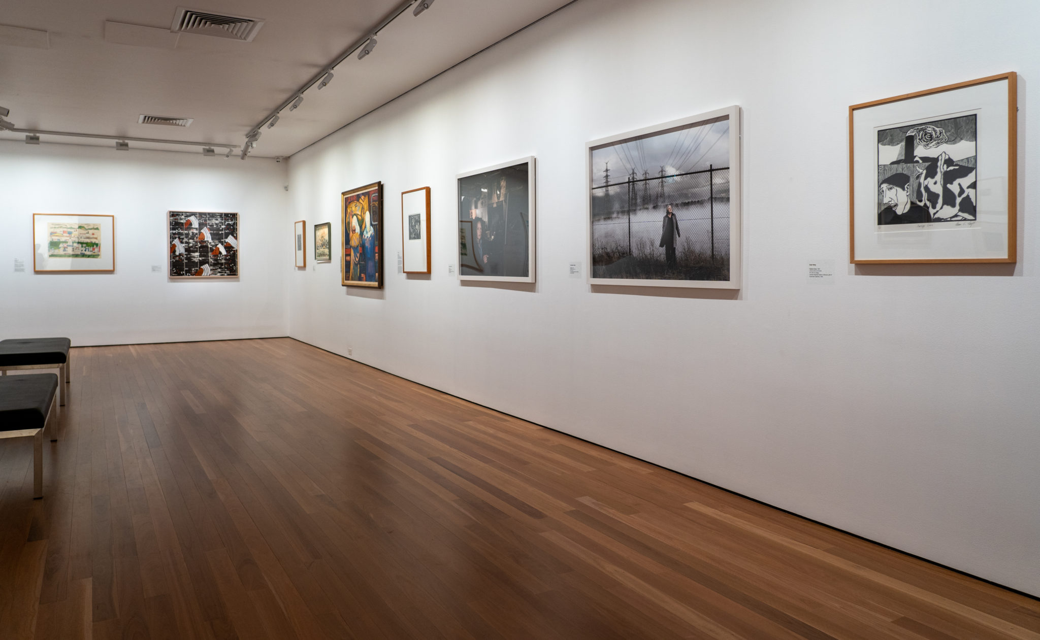 The Valley, Gallery 4, Latrobe Regional Gallery, 2022. Documentation by Darryl Whitaker.